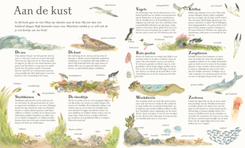 Muis aan zee